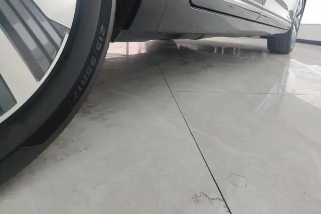 Volkswagen Magotan GTE Luxury