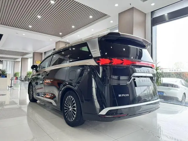 Denza Denza D9 DM 980 four-wheel drive flagship