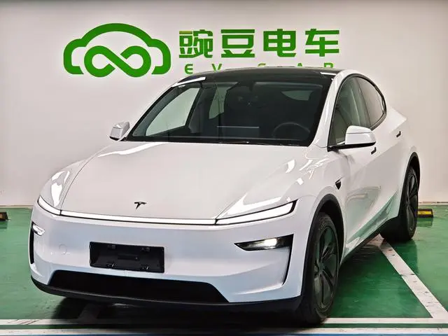 Tesla Model Y Rear-wheel drive version