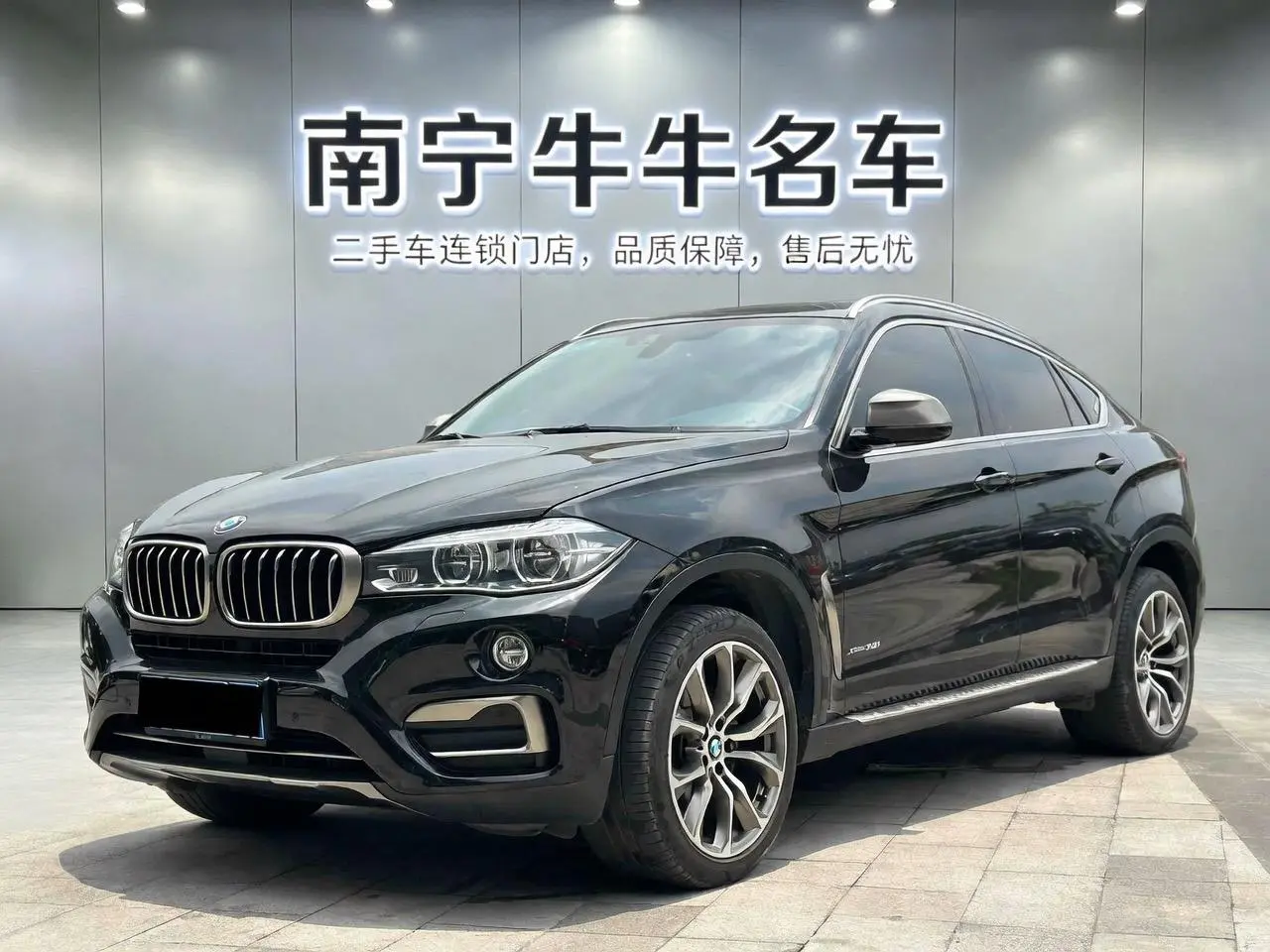BMW BMW X6 xDrive35i Luxury