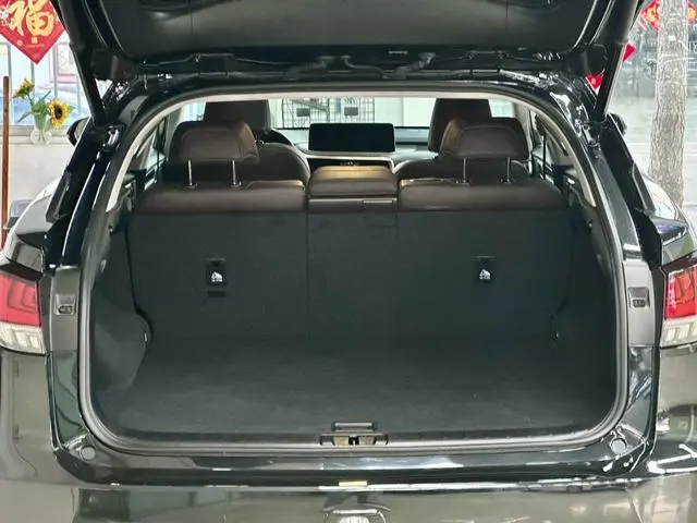 Lexus Lexus RX 300 four-wheel drive Special Edition