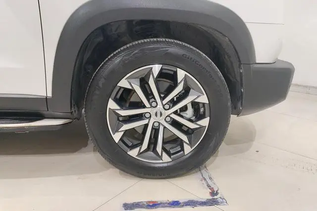 Haval Haval Big Dog 1.5T two-wheel drive Bianmu-Wangcai Edition