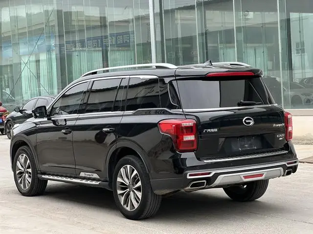 GAC Trumpchi GS8 320T two-wheel drive premium edition 7 seats