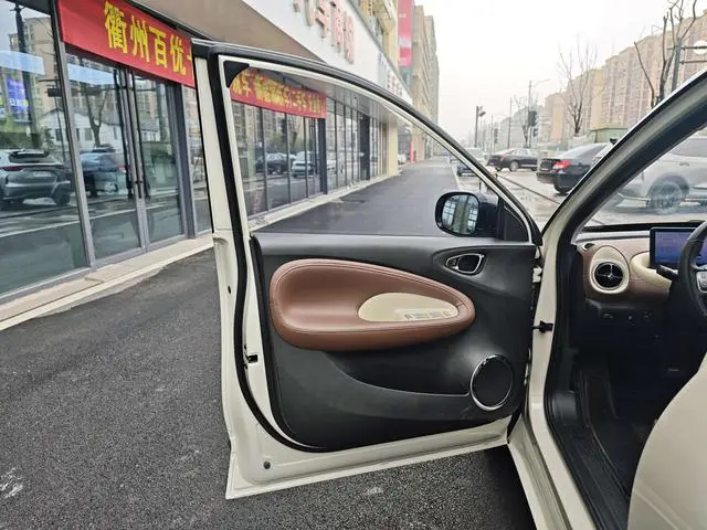 Wuling Wuling Bingguo 410KM Lingyi Exclusive Model