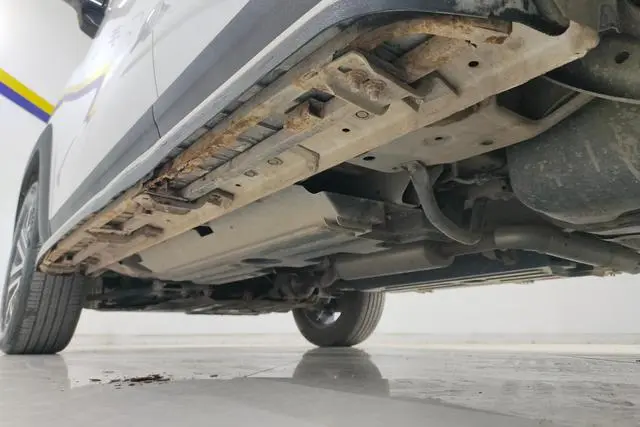 Haval Haval Big Dog 1.5T two-wheel drive Bianmu-Wangcai Edition