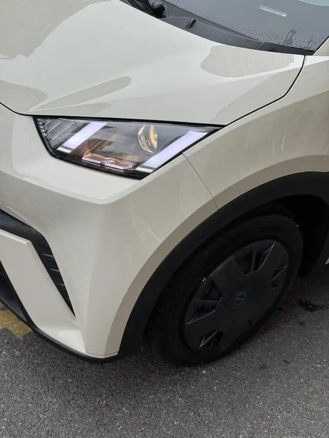 BYD Seagull Glory Edition 305KM Vitality Edition