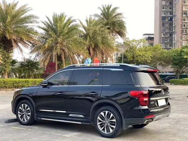GAC Trumpchi GS8 320T two-wheel drive luxury Zhilian Edition 7 seats