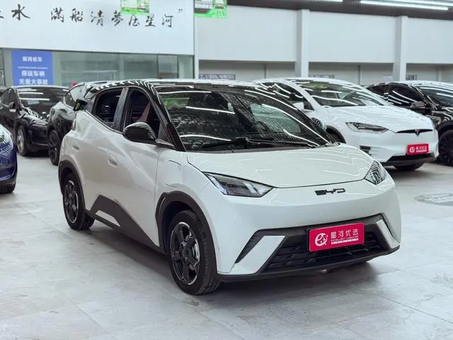 BYD Seagull Flying Version