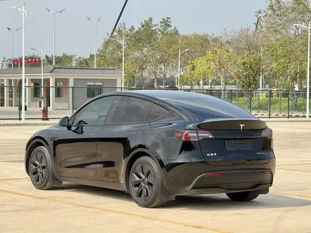 Tesla Model Y Rear-wheel drive version