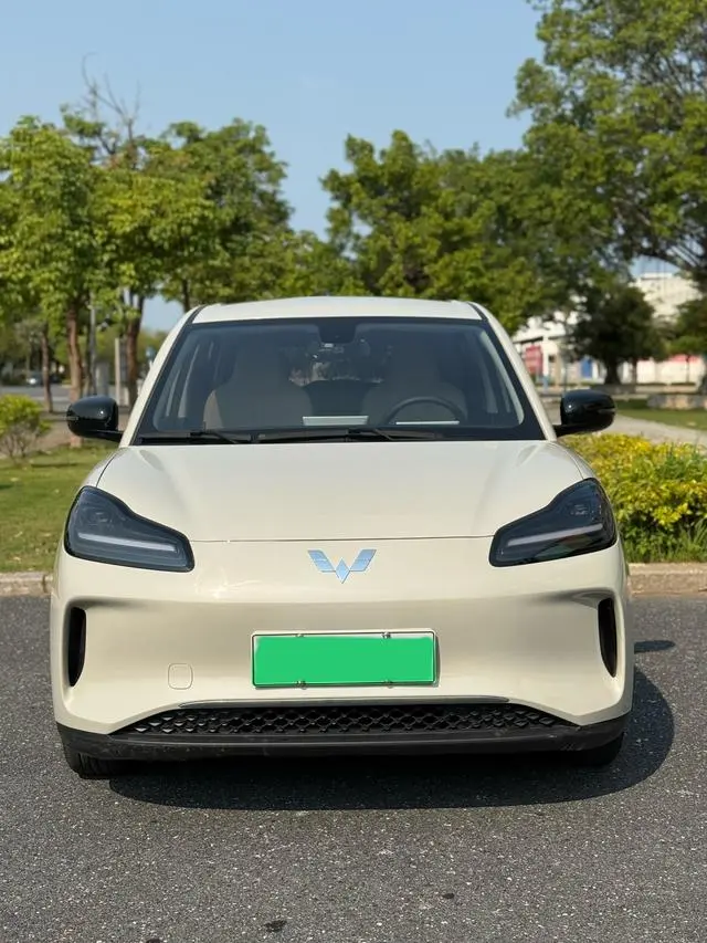 Wuling Wuling Bingguo PLUS 330km five-seater version