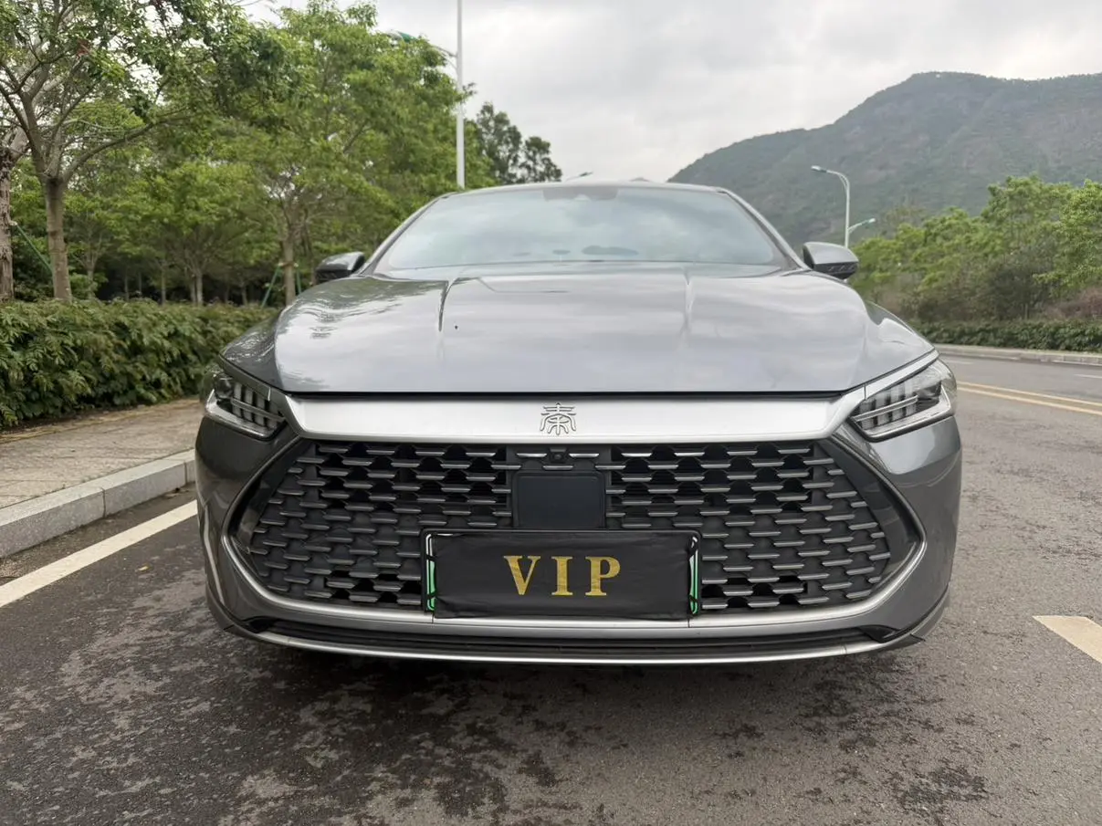 BYD Qin PLUS DM DM-i 120KM flagship type