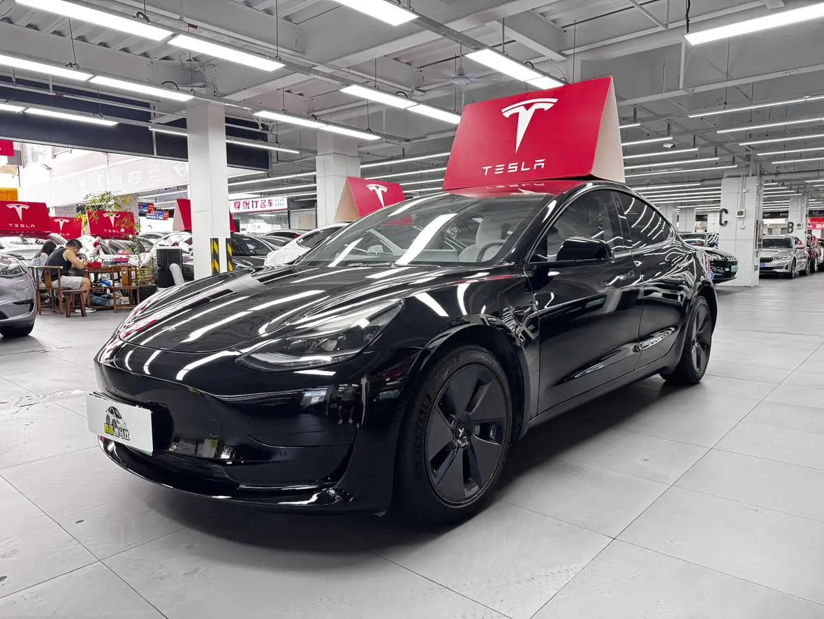 Tesla Model 3 Standard battery life rear drive upgraded version 3D6