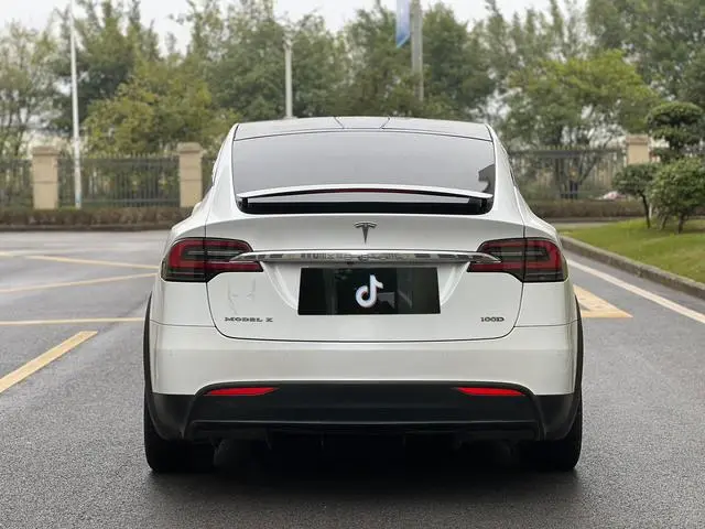 Tesla Model X 100D long battery life version