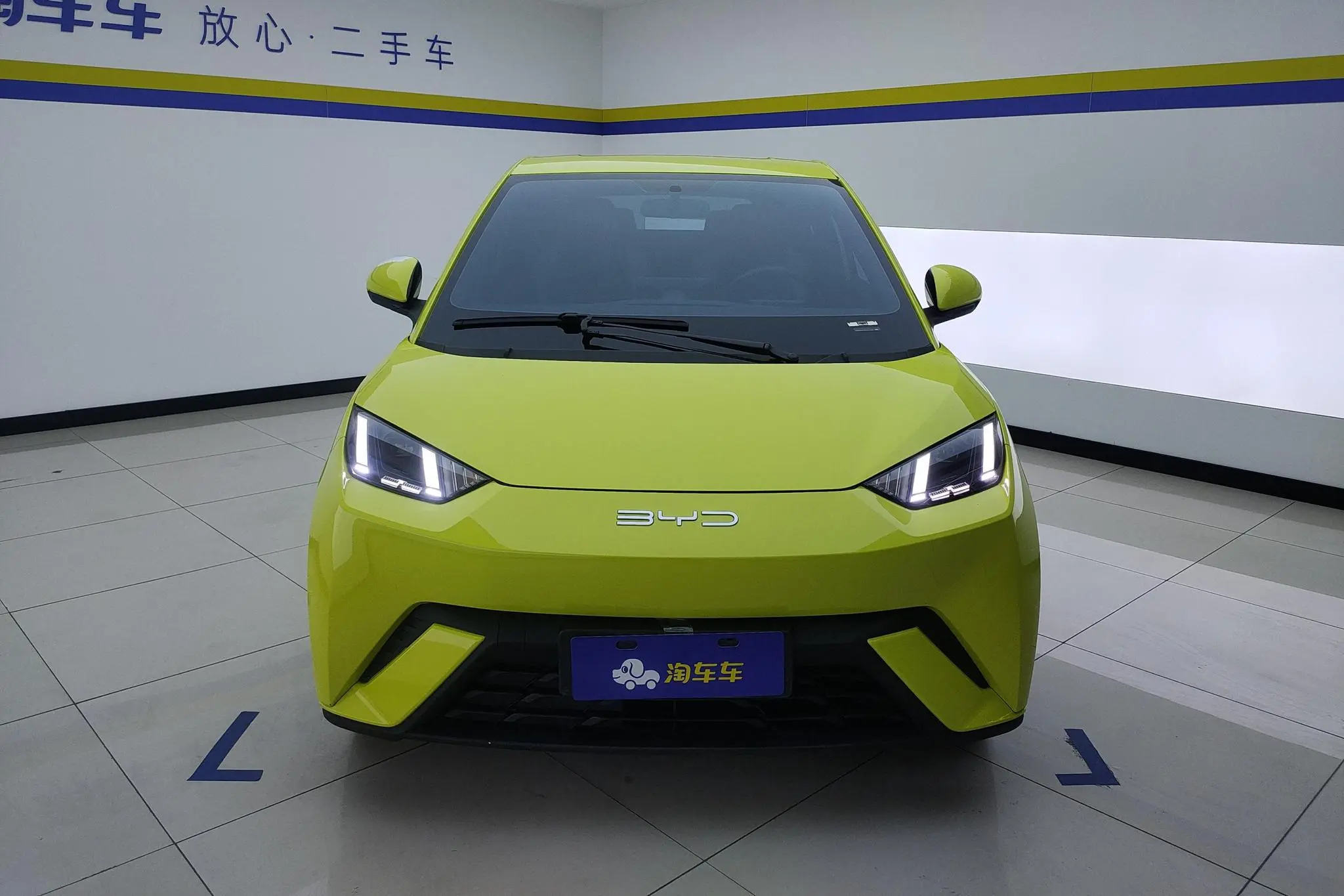 BYD Seagull Free version