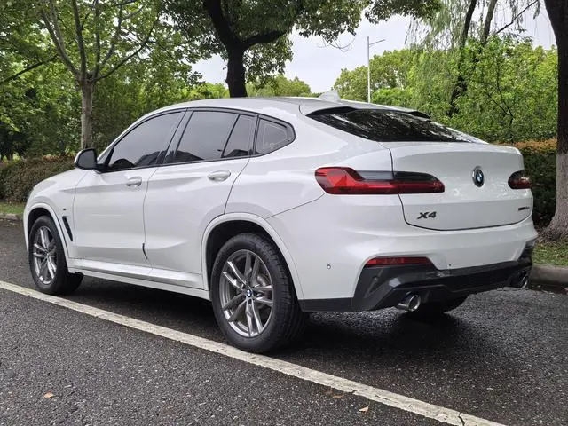 BMW BMW X4 xDrive25i M sports suit
