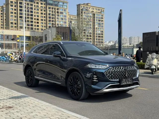 Wei Mocha PHEV 01 Performance Version