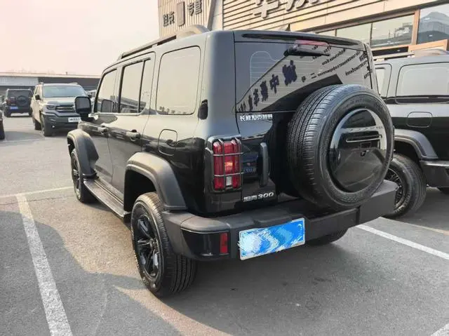 Tank Tank 300 2.0T Conqueror