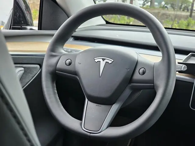 Tesla Model Y Rear-wheel drive version