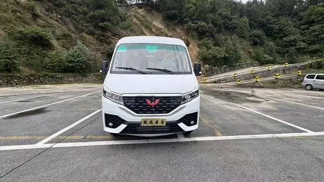Wuling Wuling Rongguang New Card Special Vehicle 2.0L C-type sales truck single row extended double rear wheel LJM20B