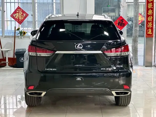Lexus Lexus RX 300 four-wheel drive Special Edition