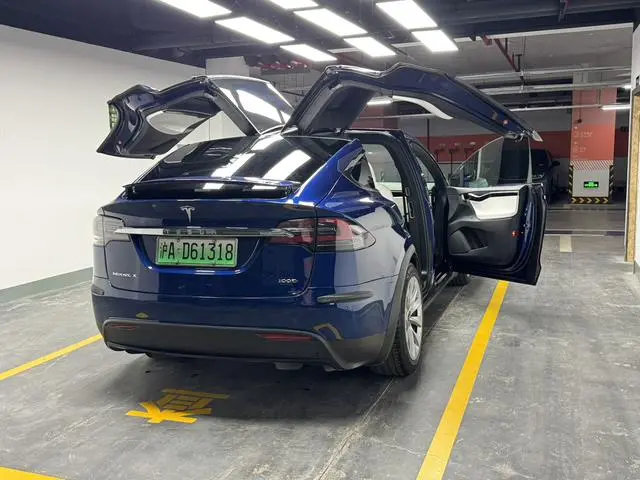Tesla Model X 100D long battery life version