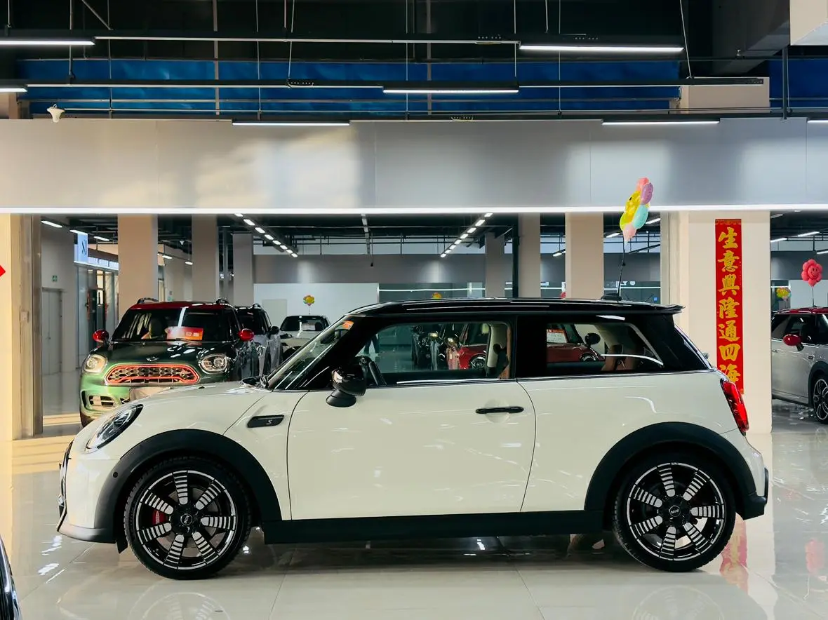 MINI MINI 2.0T COOPER S artist