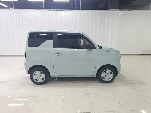 Geely Galaxy panda 200km panda mini endurance bear