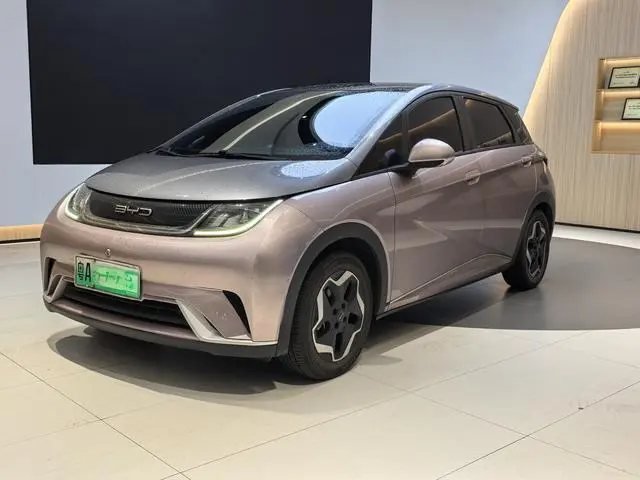 BYD dolphin Fashion edition