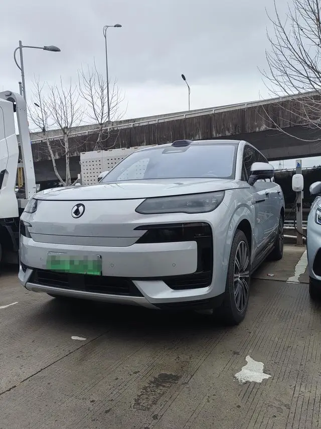 Denza Denza N9 DM Flagship type