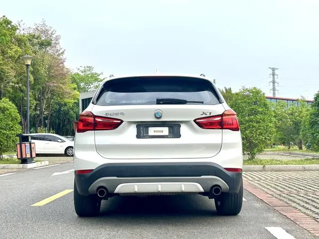 BMW BMW X1 xDrive20Li Luxury