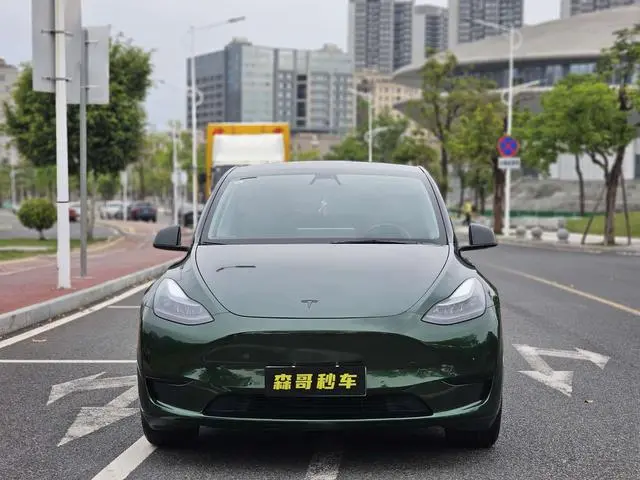 Tesla Model Y Rear-wheel drive version