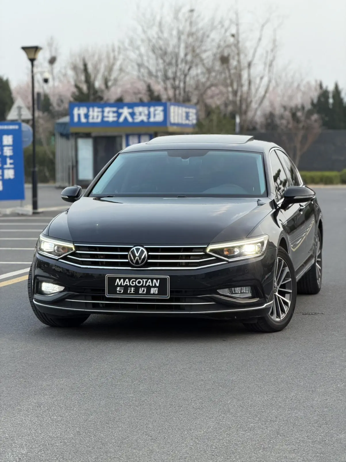 Volkswagen Magotan 330TSI DSG Luxury
