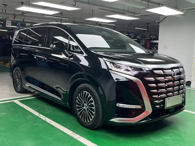 Denza Denza D9 DM 1040 Premium type