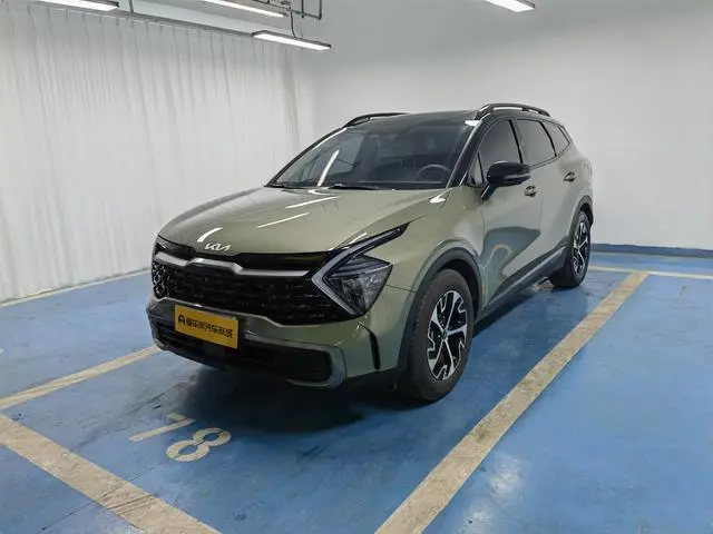 Kia Lion Platinum expands the world 1.5T two-wheel drive Premium edition