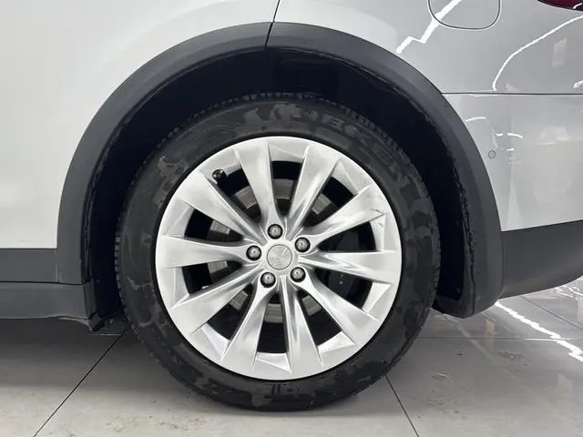 Tesla Model X 100D long battery life version