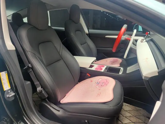 Tesla Model 3 Rear-wheel drive version