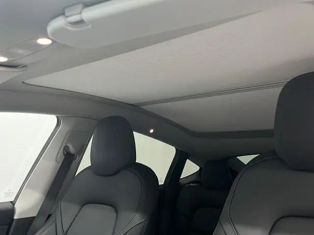 Tesla Model Y Performance high-performance all-wheel drive version