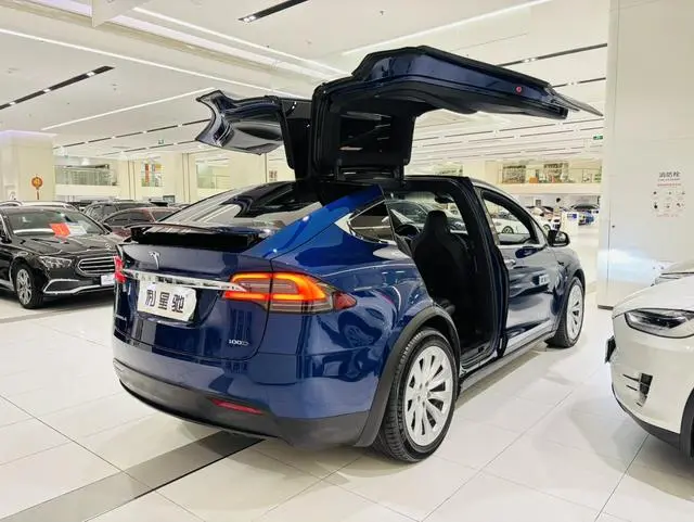 Tesla Model X 100D long battery life version