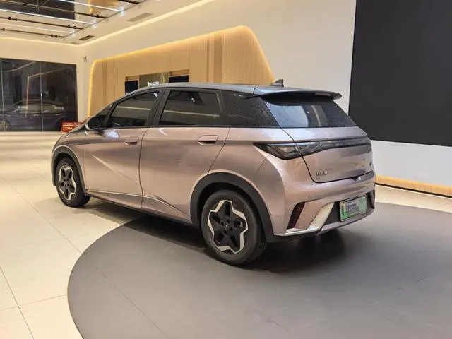 BYD dolphin Fashion edition