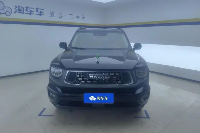 Haval Haval Big Dog PLUS 2.0T two-wheel drive Tide Wild edition Plus