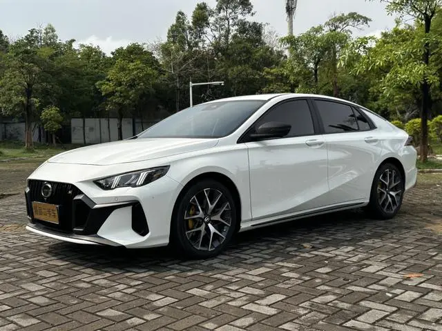 GAC Shadow Leopard 270T J16 Su Shen Limited Edition