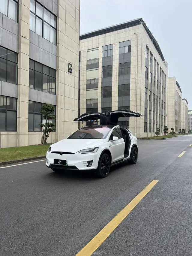 Tesla Model X 100D long battery life version