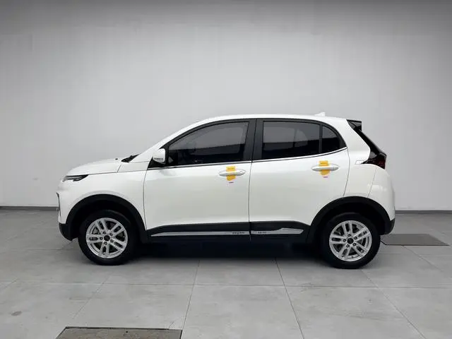Dayun Yuehu 300 Standard Edition