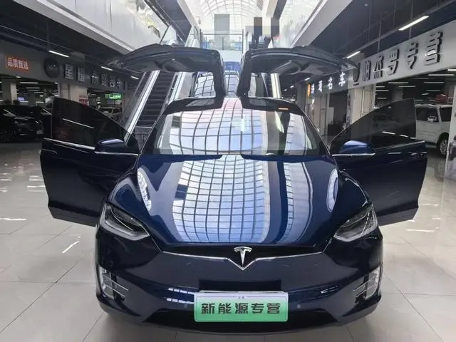 Tesla Model X 75D