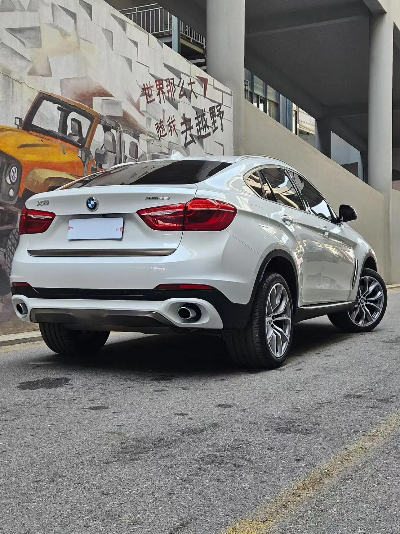 BMW BMW X6 xDrive35i leading type