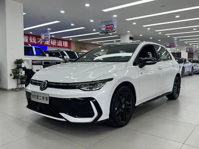 Volkswagen golf 300TSI R-Line