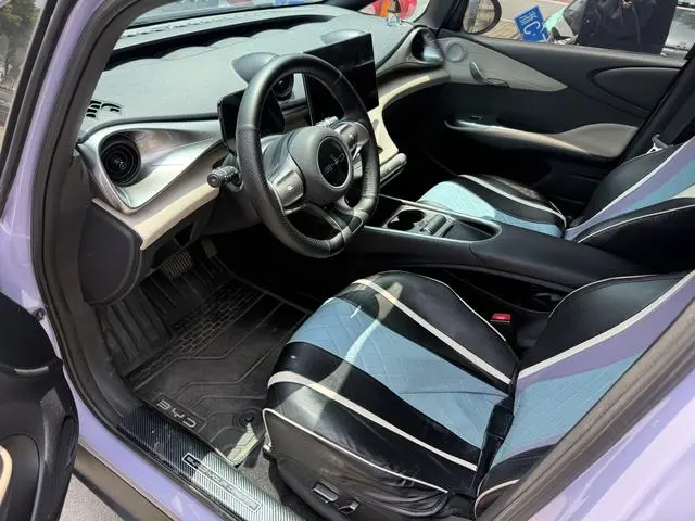 BYD dolphin Fashion edition
