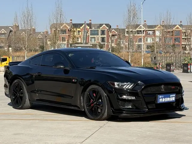 Ford Mustang 2.3T Performance Version
