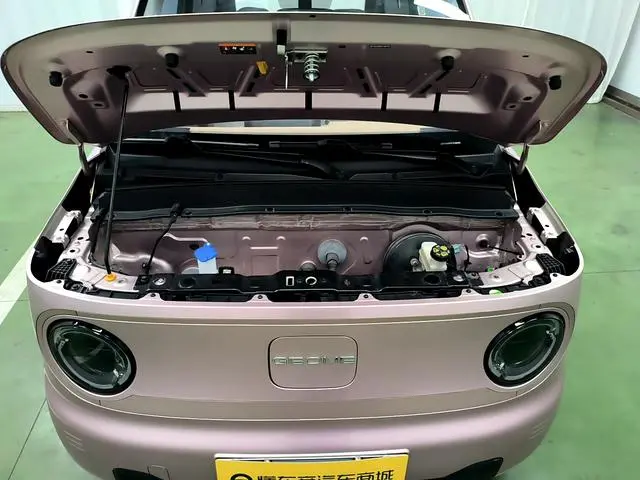 Geely Galaxy panda 200km panda mini endurance bear