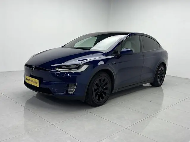 Tesla Model X 100D long battery life version